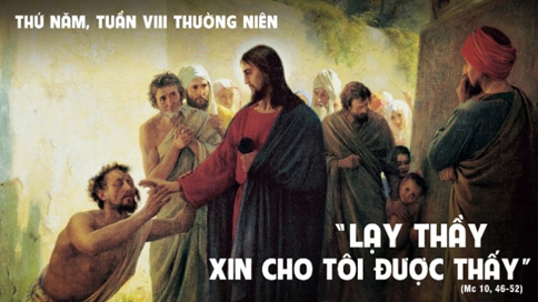image 24