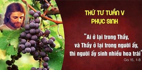 Sinh nhiều hoa trái