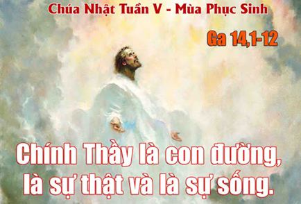 Sự thật và sự sống