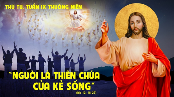image 28