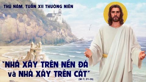 Trên đá trên cát