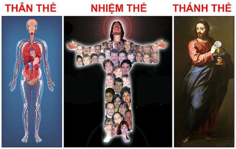 Thân thể, Nhiệm thể, Thánh Thể