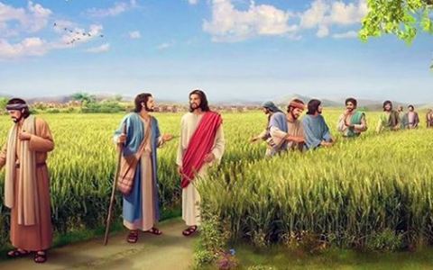 Chấp nhận cuộc sống không cửa không nhà