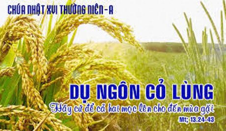 Cứ để cả hai