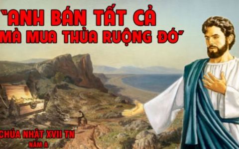 Mua thửa ruộng ấy