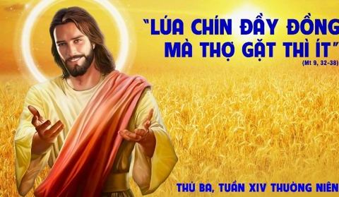 Thợ gặt thì ít