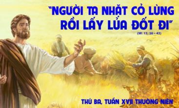Nhặt cỏ lùng rồi đốt
