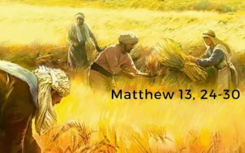 Tìm hạt giống tốt cho tâm hồn