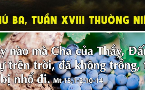 Không trồng sẽ bị nhổ đi