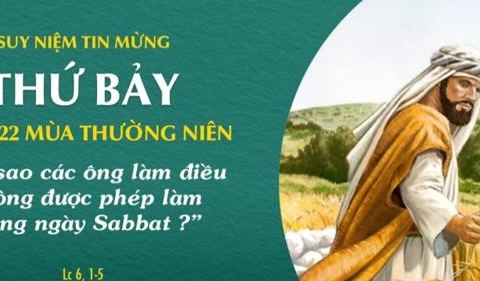Tại sao không được phép làm?