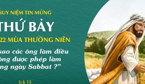 Tại sao không được phép làm?